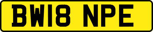BW18NPE