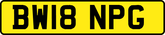 BW18NPG