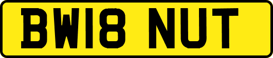 BW18NUT
