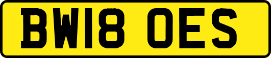 BW18OES