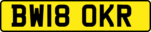 BW18OKR