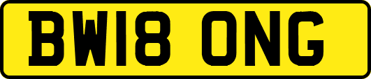 BW18ONG