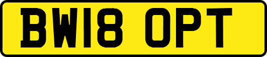BW18OPT