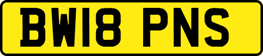 BW18PNS