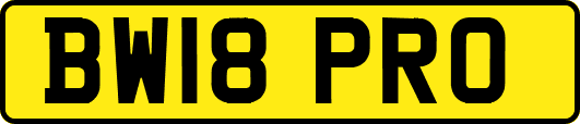 BW18PRO