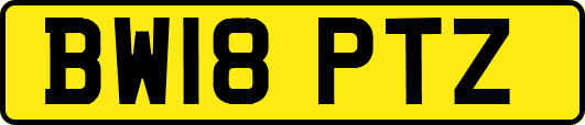 BW18PTZ