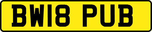 BW18PUB