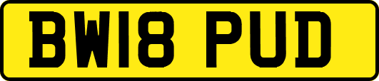 BW18PUD