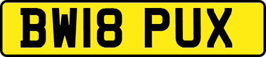 BW18PUX