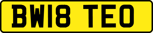 BW18TEO