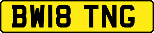 BW18TNG