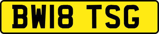 BW18TSG