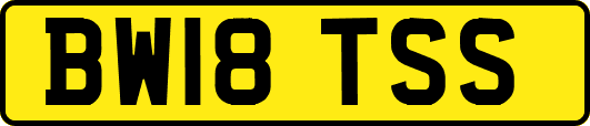 BW18TSS