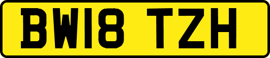 BW18TZH
