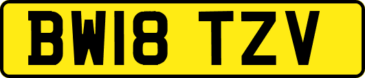 BW18TZV