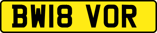 BW18VOR