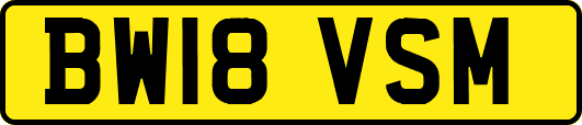 BW18VSM