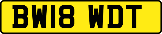 BW18WDT