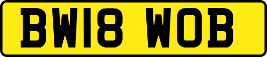 BW18WOB