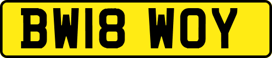 BW18WOY