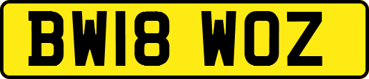 BW18WOZ