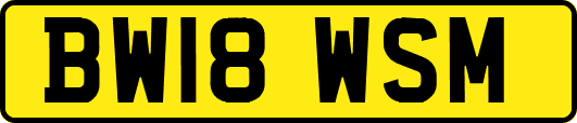 BW18WSM