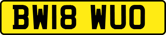 BW18WUO