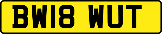 BW18WUT