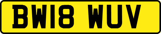BW18WUV