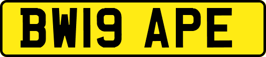 BW19APE
