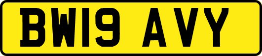 BW19AVY