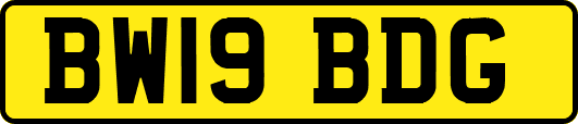 BW19BDG