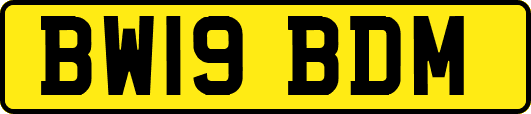 BW19BDM