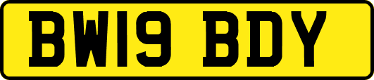BW19BDY
