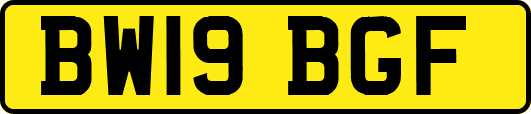 BW19BGF