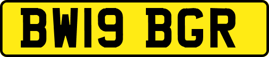 BW19BGR
