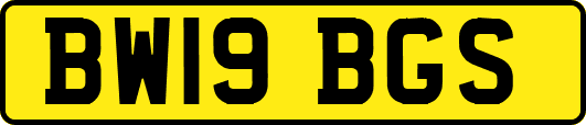 BW19BGS
