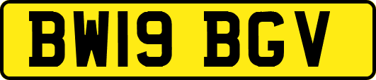 BW19BGV