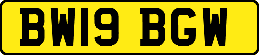BW19BGW