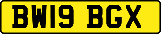 BW19BGX