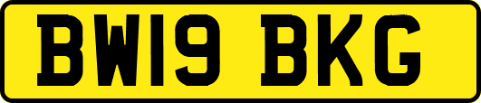 BW19BKG