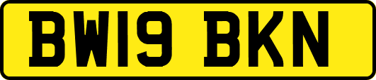 BW19BKN