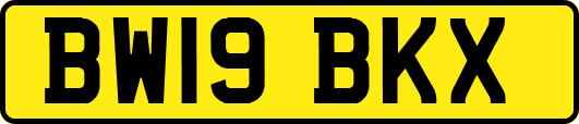 BW19BKX