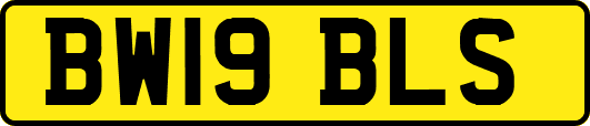 BW19BLS