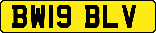 BW19BLV