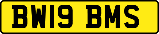 BW19BMS
