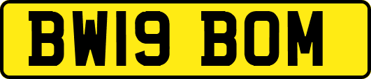 BW19BOM