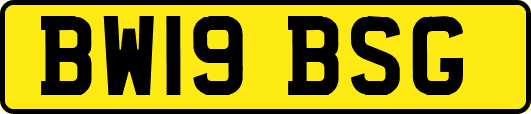 BW19BSG