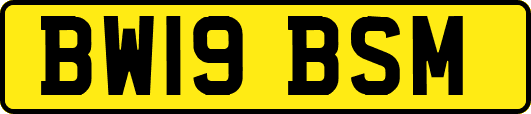 BW19BSM