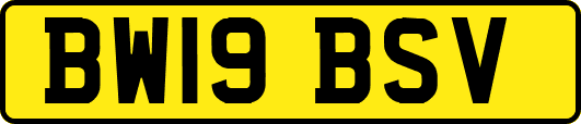 BW19BSV